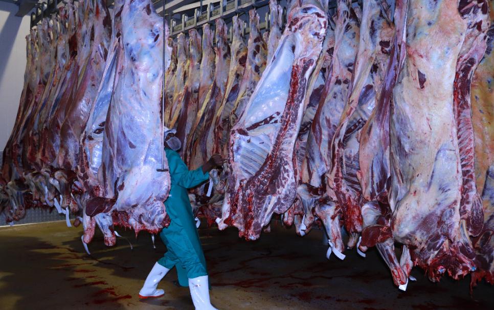 Livestock producers urged to protect industry