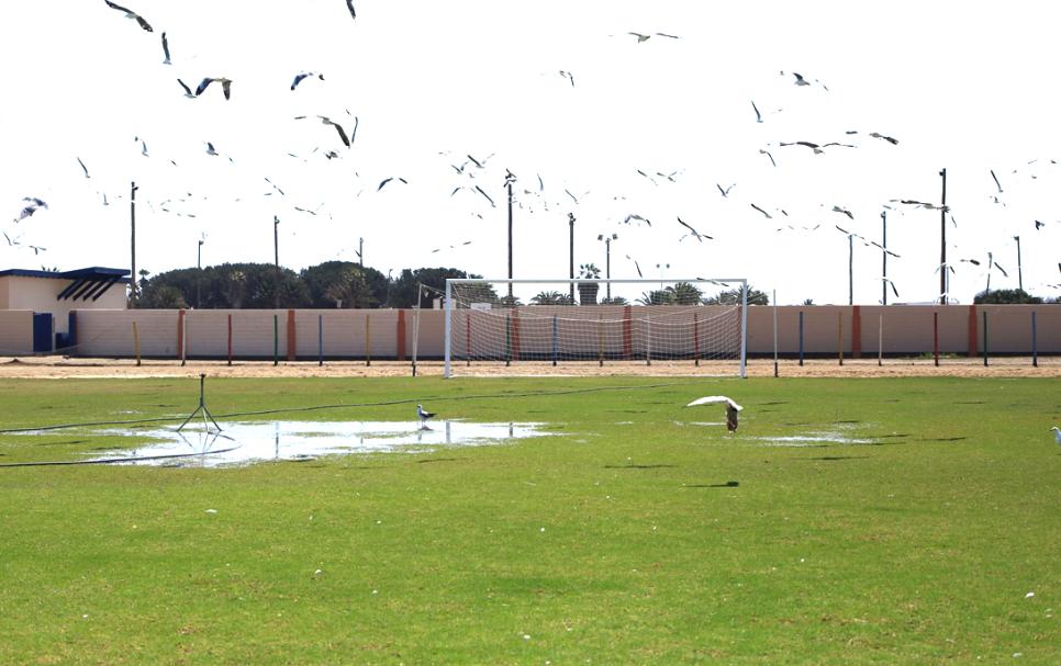 kuisebmond stadium