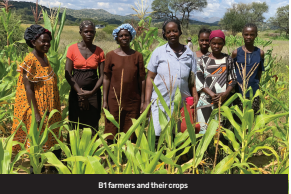 B1 roadside farmers face eviction amid harvest pleas screenshot-2025-05-12-162330