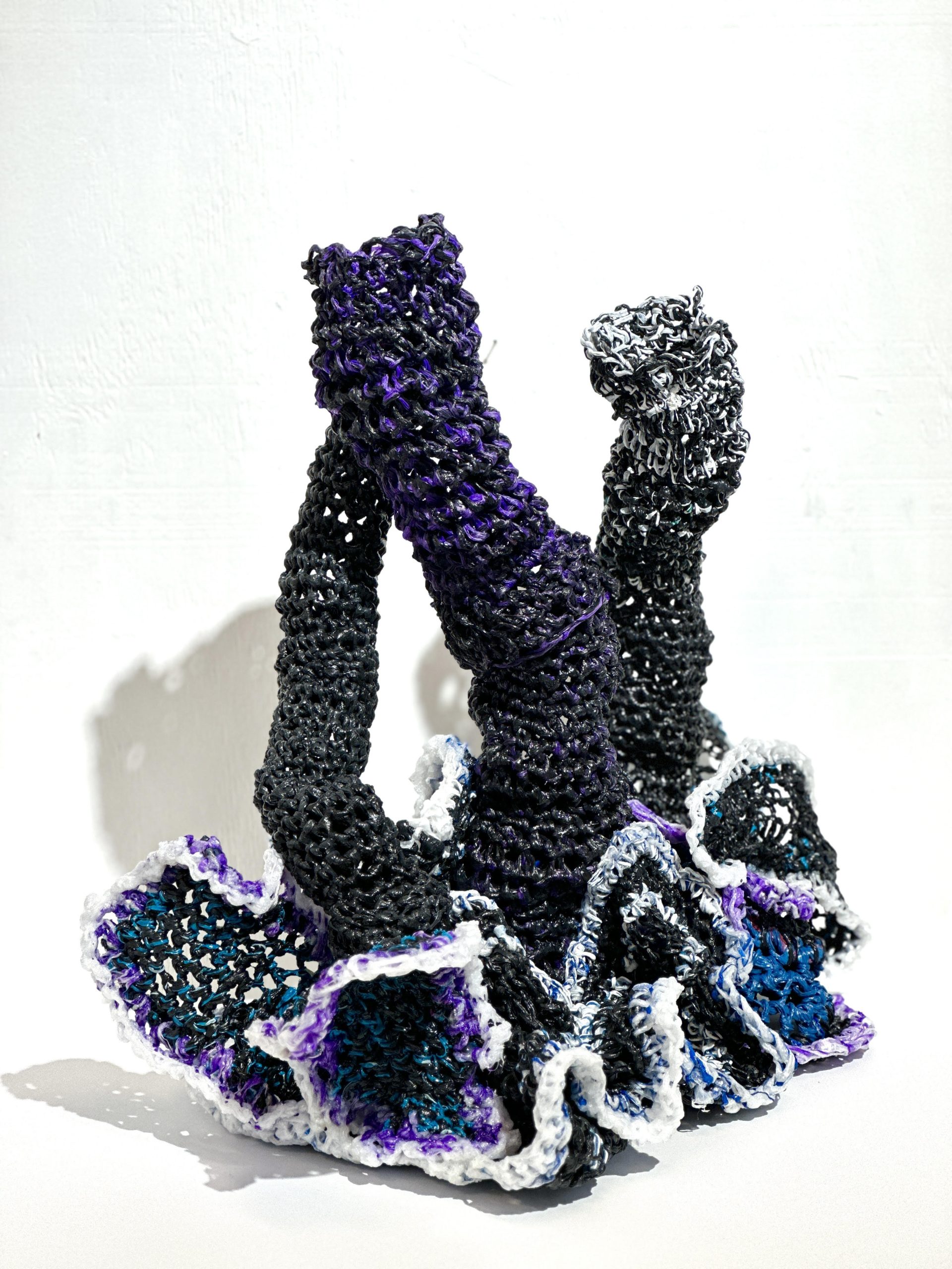 Rogge, Musikubili to fly Nam flag high in Johannesburg unnamed-6-1