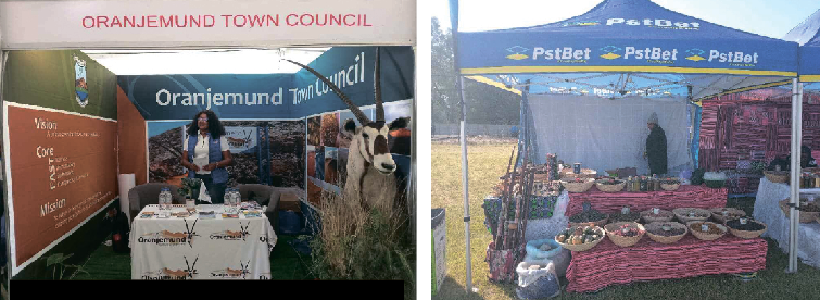 Okahandja expo’s renewed innovation screenshot-2025-06-09-115421