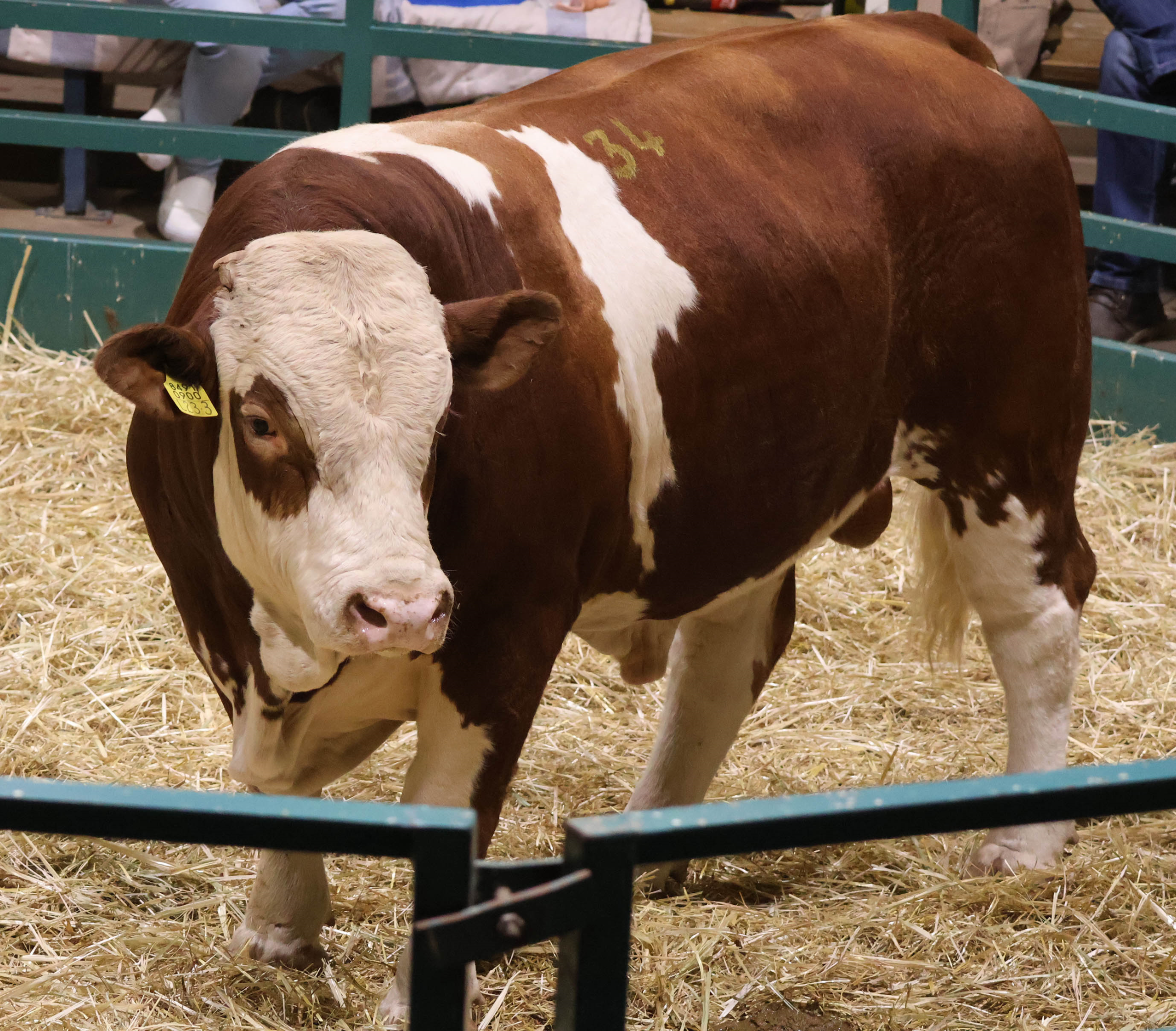 Nam Agri-sector displays resilience agri-2