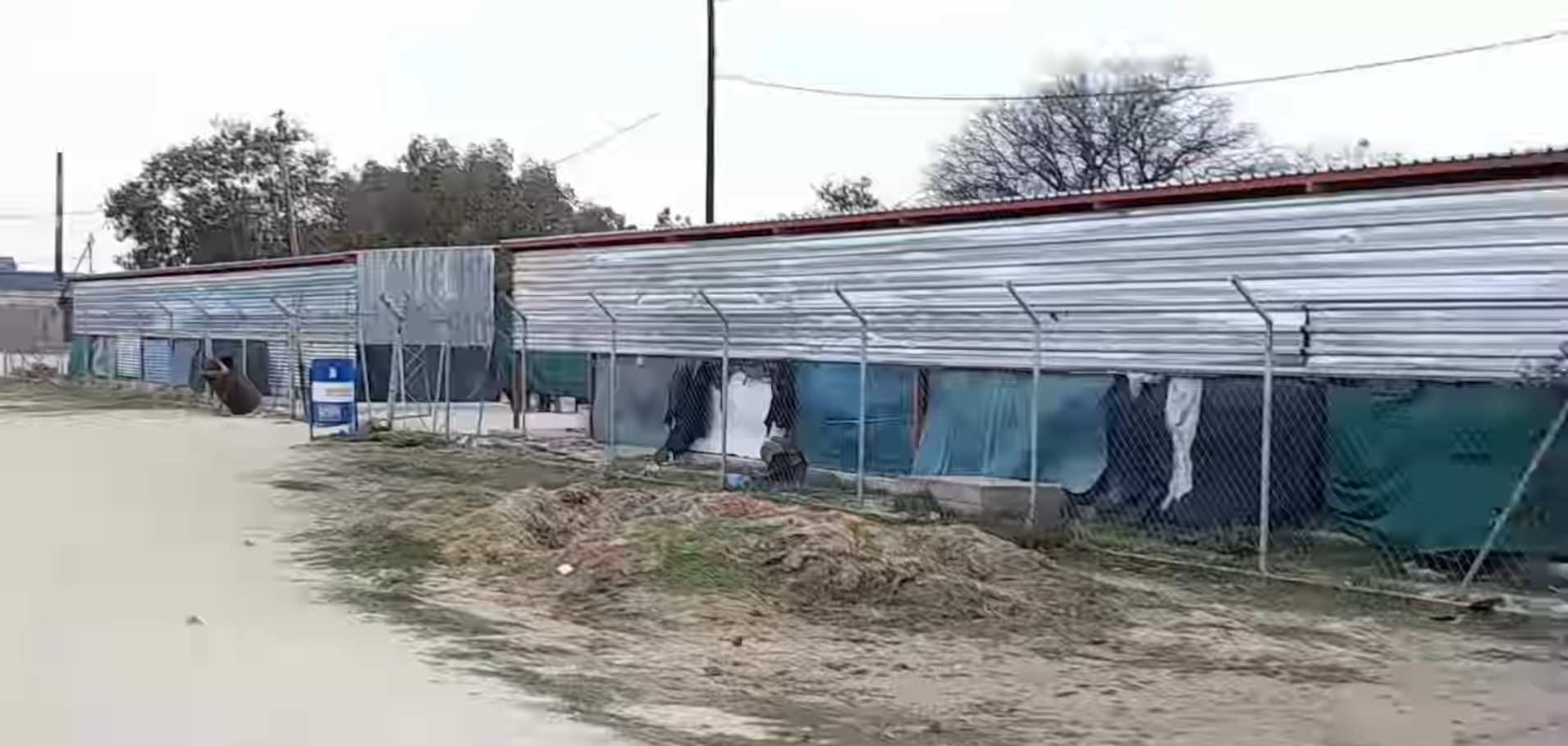 Okahao market shapes traders screenshot-2025-11-19-084154