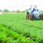 Namibia eyes regional edge in food processing