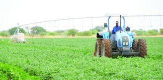 Namibia eyes regional edge in food processing