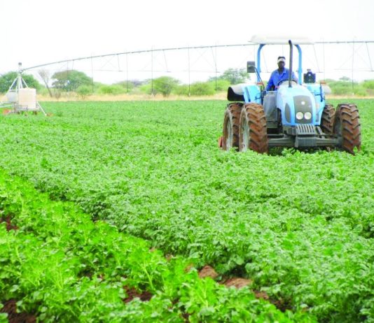 Namibia eyes regional edge in food processing