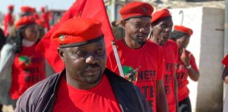 NEFF questions real change under national budget