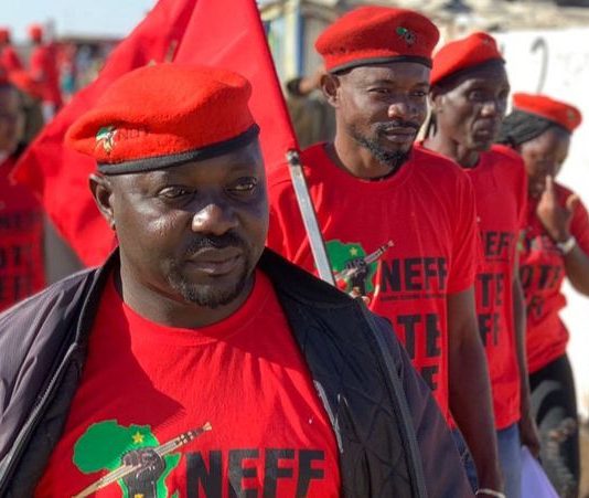 NEFF questions real change under national budget