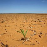 Worst dry spell for farmers in 45 years