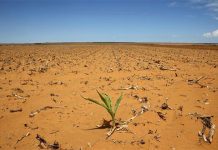 Worst dry spell for farmers in 45 years