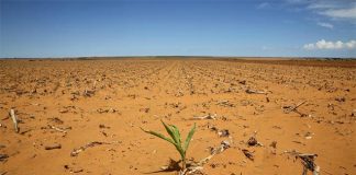 Worst dry spell for farmers in 45 years