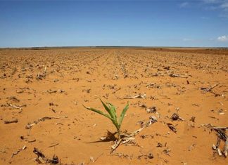 Worst dry spell for farmers in 45 years