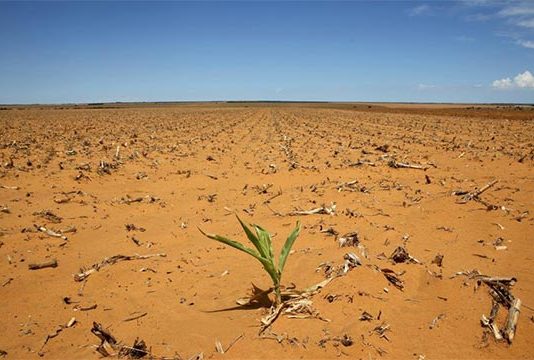 Worst dry spell for farmers in 45 years
