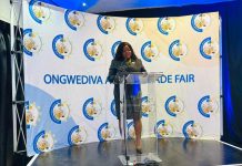 Ongwediva trade fair goes global