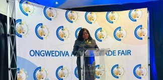 Ongwediva trade fair goes global