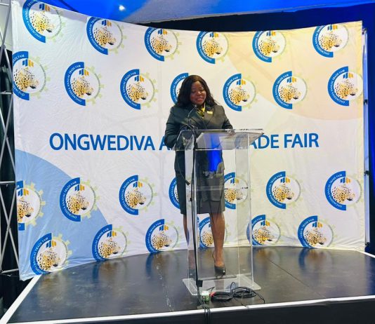 Ongwediva trade fair goes global
