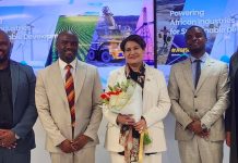 Namibia secures funds for green industries