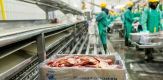 Agribank reviews beef industry