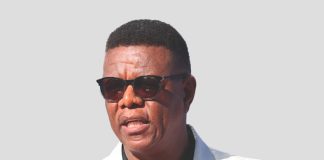 Xoagub steps down as NSC vice chair