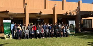 Youth urged to lead peacebuilding efforts