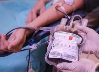 Namibia joins global community for World Blood Donor Day