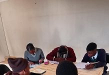 Futures shaped through remedial education