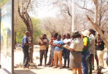 CBD, GBF and Namibia’s National Biodiversity Strategy and Action Plan (NBSAP)