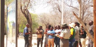 CBD, GBF and Namibia’s National Biodiversity Strategy and Action Plan (NBSAP)