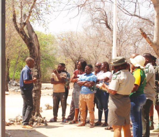CBD, GBF and Namibia’s National Biodiversity Strategy and Action Plan (NBSAP)