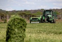Strategies for crop farmers to access formal markets