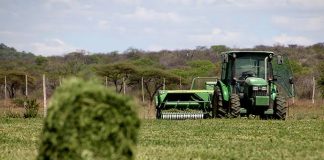 Strategies for crop farmers to access formal markets