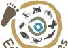 Growing biodiversity champions