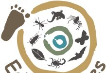 Growing biodiversity champions