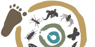 Growing biodiversity champions