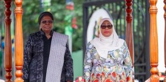 Namibia, Tanzania shift focus to trade
