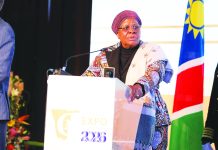 Nandi-Ndaitwah says mining must deliver
