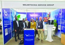 Welwitchia eyes oil & gas as growth engine