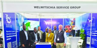 Welwitchia eyes oil & gas as growth engine
