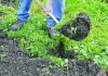 Daures gets green funding
