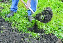 Daures gets green funding