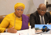Namibia pitches US investors on 400 million-consumer market