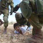 INTERNATIONAL: Conditions of Palestinian Prisoners in the Prisons of the Israeli Occupation