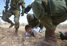 INTERNATIONAL: Conditions of Palestinian Prisoners in the Prisons of the Israeli Occupation