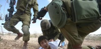 INTERNATIONAL: Conditions of Palestinian Prisoners in the Prisons of the Israeli Occupation