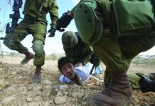 Conditions of Palestinian prisoners in the prisons of the Israeli occupation