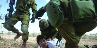 Conditions of Palestinian prisoners in the prisons of the Israeli occupation