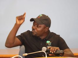 NEFF calls for health ministry procurement probe