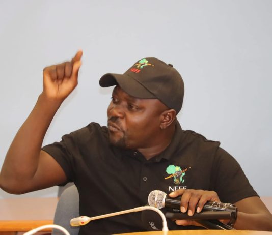 NEFF calls for health ministry procurement probe