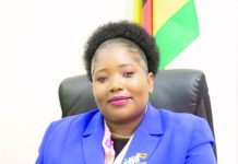 ZimTrade, Nam talk export growth