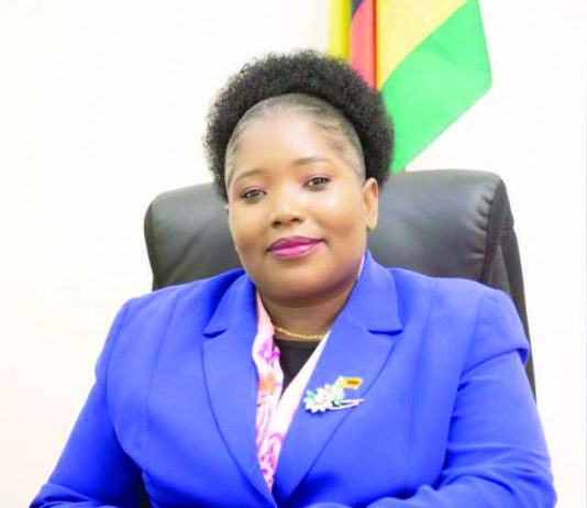 ZimTrade, Nam talk export growth
